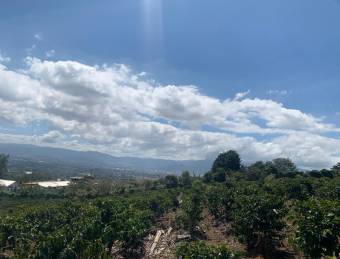 Espectacular finca cafetalera con vistas al Valle Central en San Pablo de Heredia #25-1394 GS