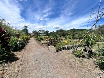 Venta de Bello Lote de Terreno en Guácima, Alajuela / Mls. 25-1718 OFC JB