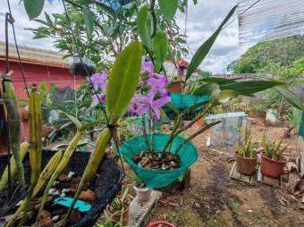 MLS-26-1640 VENTA CASA GRECIA ALAJUELA