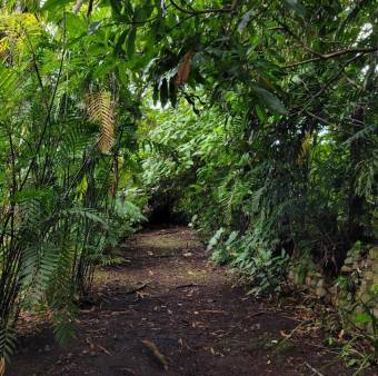 Oasis único en Escazú con río y uso mixto ideal para proyecto exclusivo #26-1249 GS