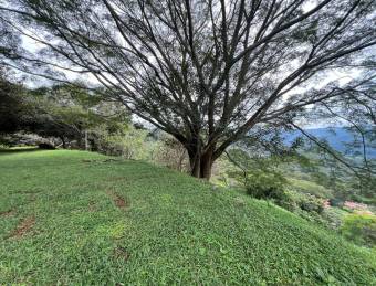 Terreno de ensueño con vistas espectaculares en Lapas #26-956 GS