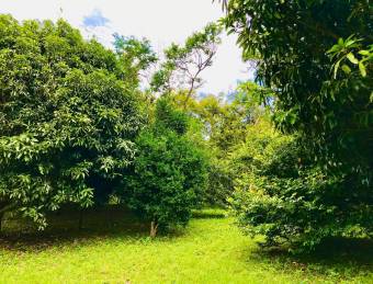 Lote paradisíaco en Ciudad Colón rodeado de naturaleza y paz total #26-1024 GS