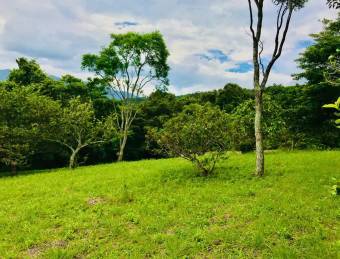 Lote paradisíaco en Ciudad Colón rodeado de naturaleza y paz total #26-1024 GS