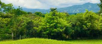 Lote paradisíaco en Ciudad Colón rodeado de naturaleza y paz total #26-1024 GS