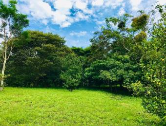 Lote paradisíaco en Ciudad Colón rodeado de naturaleza y paz total #26-1024 GS