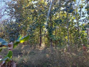 Venta de Lote en Nicoya, Guanacaste. RAH 26-350 PRECIO REBAJADO