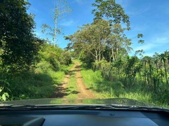 Finca de 16Ha con río, cabinas y alto potencial turístico en Sarapiquí 26-910 GS
