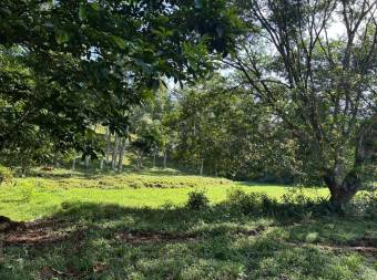 Finca de 16Ha con río, cabinas y alto potencial turístico en Sarapiquí 26-910 GS