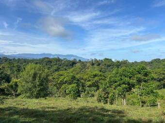 Finca de 16Ha con río, cabinas y alto potencial turístico en Sarapiquí 26-910 GS