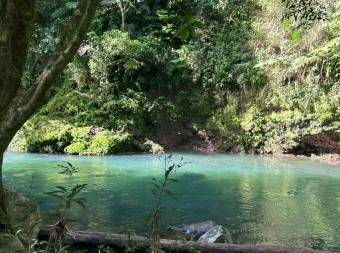 Finca de 16Ha con río, cabinas y alto potencial turístico en Sarapiquí 26-910 GS