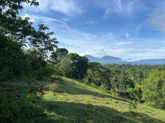 Finca de 16Ha con río, cabinas y alto potencial turístico en Sarapiquí 26-910 GS