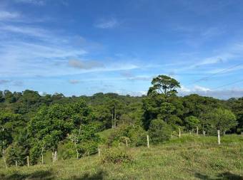 Finca de 16Ha con río, cabinas y alto potencial turístico en Sarapiquí 26-910 GS