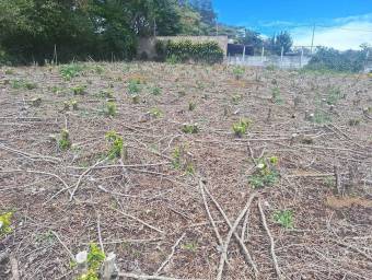 Venta de Lote en Barva-San Pablo-Heredia. RAH 26-1343 PRECIO REBAJADO