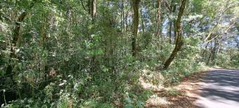 Venta de Finca Cabaña en León Cortéz-Castro San Andrés, San José. RAH 26-1589 PRECIO REBAJADO Venta de Finca Cabaña en León Cortéz-Castro San Andrés, San José. RAH 26-1589 PRECIO REBAJADO