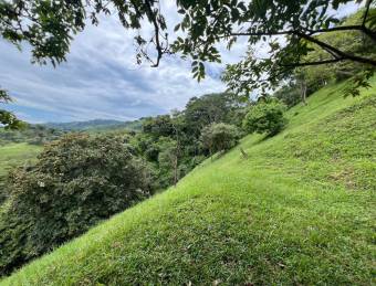 Amplio lote plano con vistas y gran potencial en residencial privado en Lapas #26-956 GS