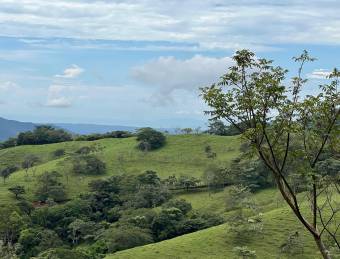 Amplio lote plano con vistas y gran potencial en residencial privado en Lapas #26-956 GS