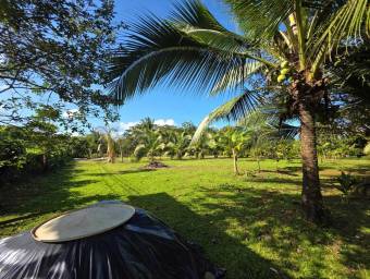 Propiedad con casa, 2 apartamentos y uso comercial en amplio terreno #26-1674 GS