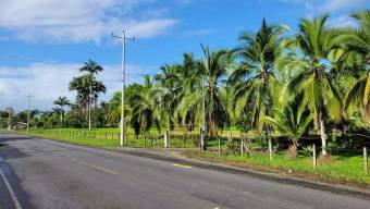 Terreno de 30 ha para desarrollo ecoturístico cerca del Caribe #26-1671 GS