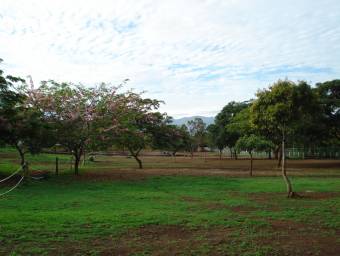 commercial or residential land for sale Alajuela