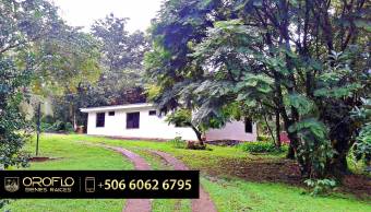 #FARM WITH #HOT_SPRINGS AND #RAIN FOREST. #Upala #Alajuela #21302gr