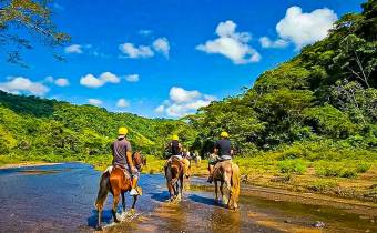 Costa Rica Eco-Adventure Business For Sale