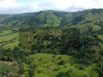 V#252 Amplia Finca en Venta/Hojancha-Guanacaste