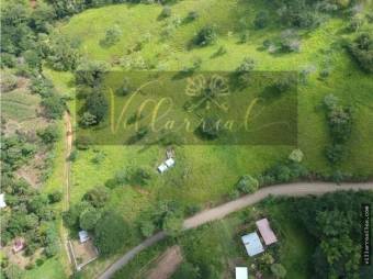 V#252 Amplia Finca en Venta/Hojancha-Guanacaste