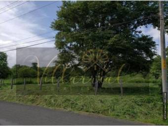 V#259 Excepcional Lote en Venta/La Cruz-Guanacaste