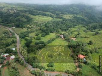 V#261 Grandiosa Finca con Casa en Venta/Guanacaste