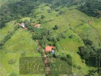 V#261 Grandiosa Finca con Casa en Venta/Guanacaste