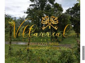 V#297 Bello Lote en Venta/ Guanacaste