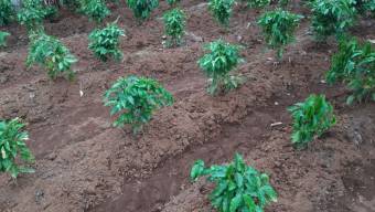 SE VENDE PRECIOSO LOTE PARA QUINTA