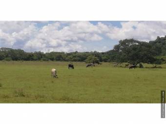 V#409 Amplios Terrenos de Venta en Guanacaste 