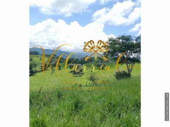 V#338 Amplia Finca en Venta/Orotina-Alajuela