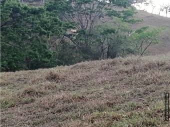 V#412 Amplia Finca de Venta en Guanacaste 