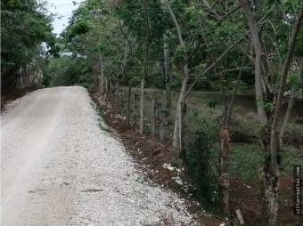 V#412 Amplia Finca de Venta en Guanacaste 