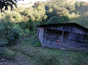 Venta de finca en la Zona de los Santos