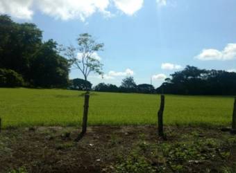 Farm for sale in La Ceiba, Orotina, Alajuela.