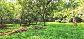 Farm for sale in Abangares, Guanacaste.