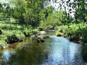 Finca con rio y hermosos pastiazales en Venta,  Guacimo      CG-20-939