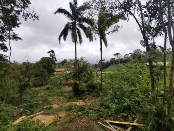 Lote en venta en Turrialba, Cartago. RAH 22-2042