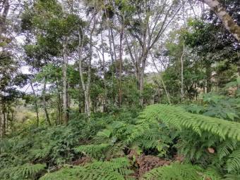 Lote en venta en Turrialba, Cartago. RAH 22-2042