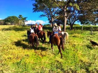Excellent Cattle Farm. Guanacaste - Costa Rica. 4461 hectares