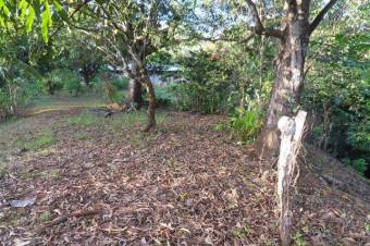 MLS-22-546 VENTA LOTE HOJANCHA GUANACASTE