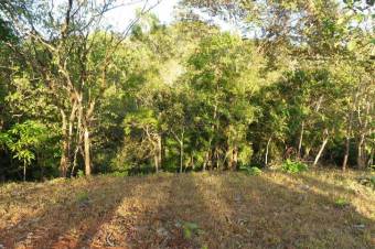 MLS-22-546 VENTA LOTE HOJANCHA GUANACASTE