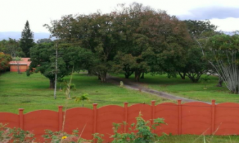 Venta de lote ubicado en Alajuela, El Coyol