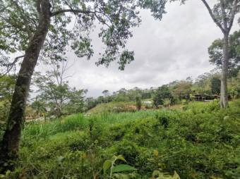 MLS-22-2042 VENTA LOTE SAN JUAN TURRIALBA