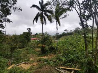 MLS-22-2042 VENTA LOTE SAN JUAN TURRIALBA