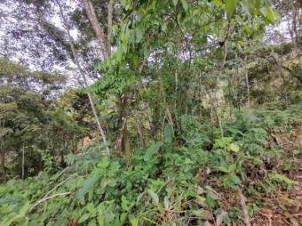 MLS-22-2042 VENTA LOTE SAN JUAN TURRIALBA