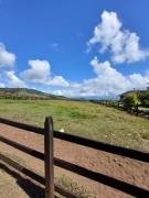 Se vende propiedad única en la zona de Juan Viñas, Cartago. 